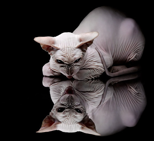 _未来运动打印馆：个性化运动装备制造_，深圳运动未来科技有限公司