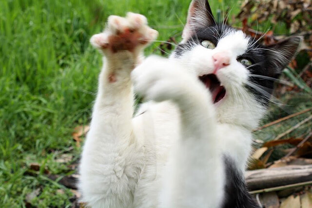 _虚拟现实健身房:数字时代的运动新体验_,虚拟锻炼