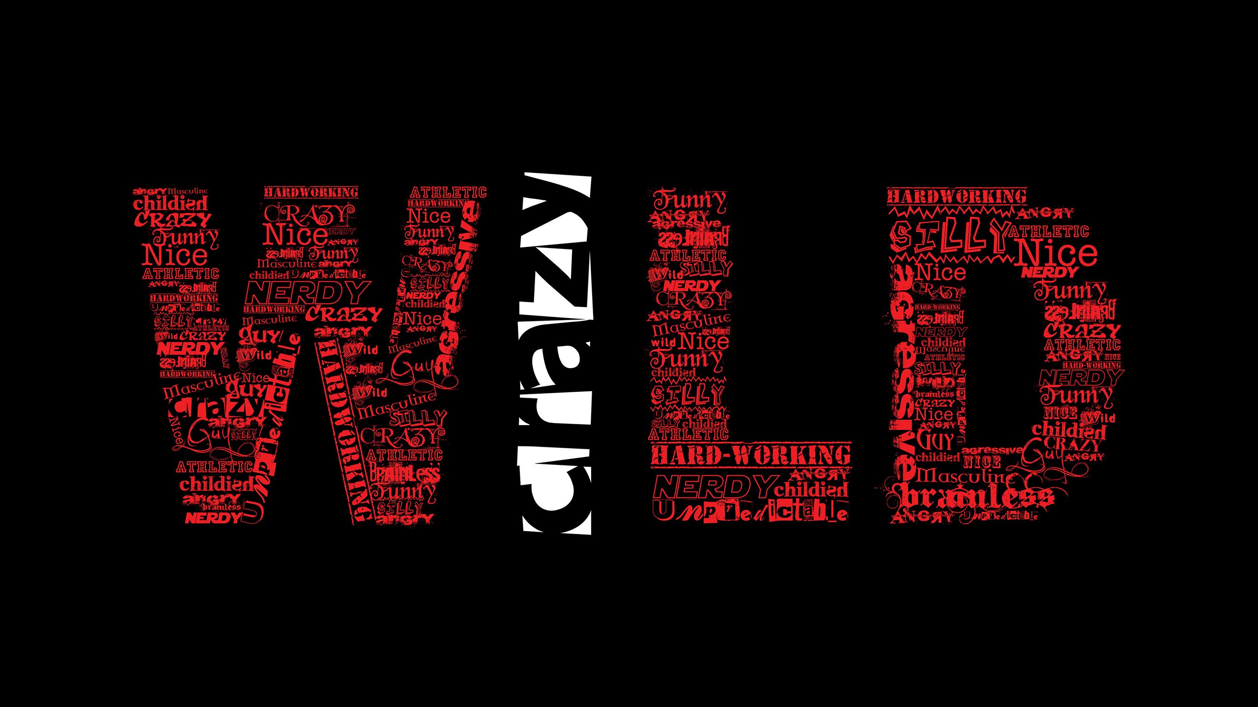 “冠军的瞬间：感人全场的夺冠时刻”，冠军的视频