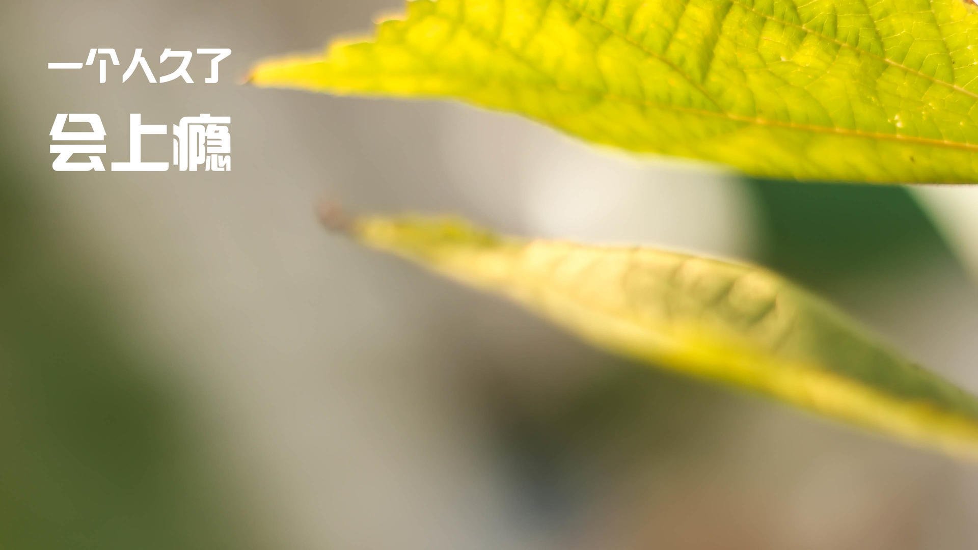 “意甲联赛高潮迭起：冠军争夺战进入冲刺阶段”，意甲 冠军