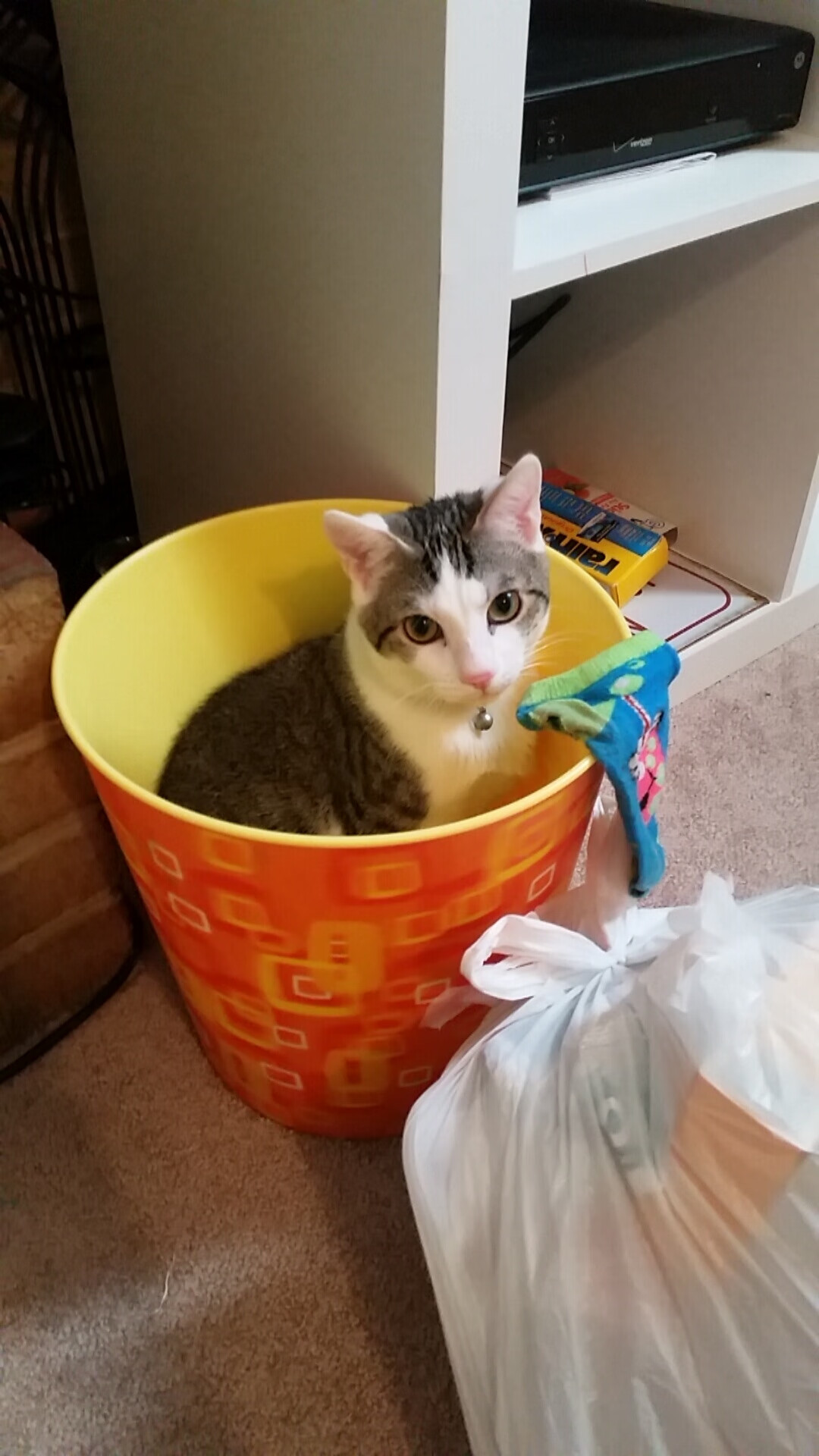 FB体育注册网址-“意甲逆转高潮：逆境中的坚持换来胜利”，意甲转会期