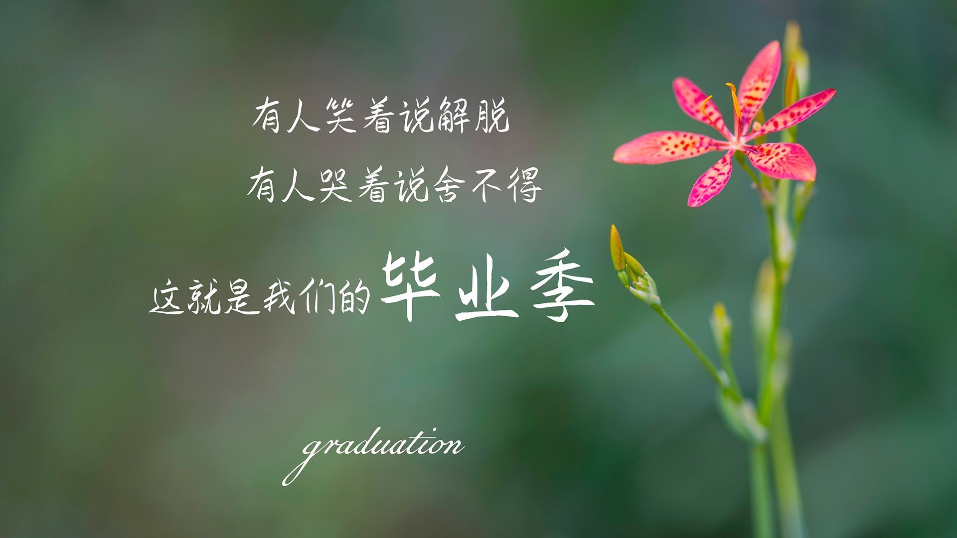 FB体育入口-亚洲篮球冠军杯季后赛，强队实力碾压对手，亚洲篮球俱乐部冠军杯2019