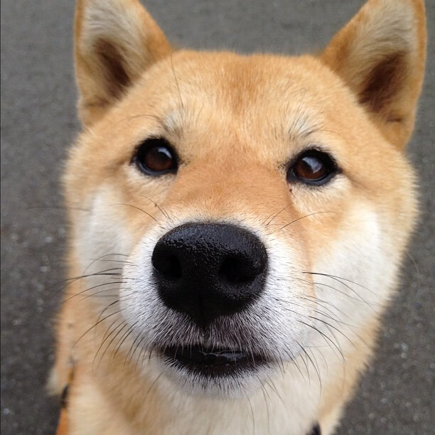 FB体育网页版-中国足球裁判员培训体系标准化，实现公平竞赛，中国足球裁判员培训体系标准化,实现公平竞赛