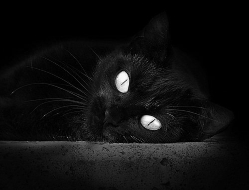 FB体育在线-冬奥会新篇章：塞内加尔成为首支晋级四强的非洲队，2021奥运会塞内加尔第几个出场