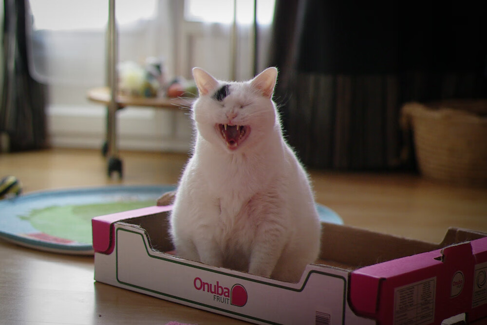 库里:打破所有“限制”,让投篮成为艺术!,库里的投篮动作教学