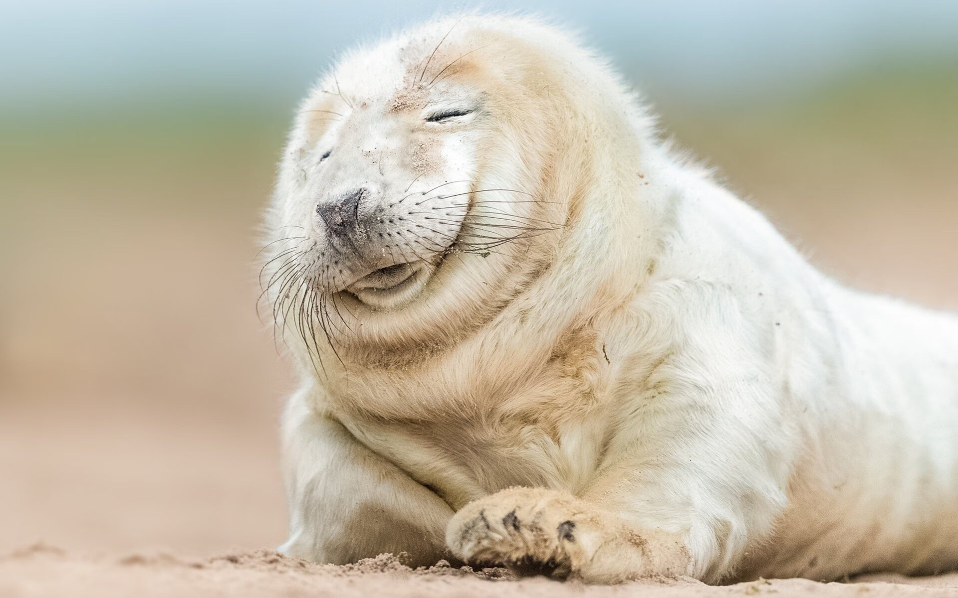 fb体育官网首页-Team Liquid新赛季强势开局