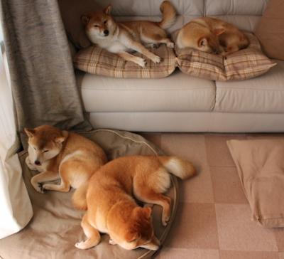 上港客场告捷，越秀山再添一城胜利，香港越秀