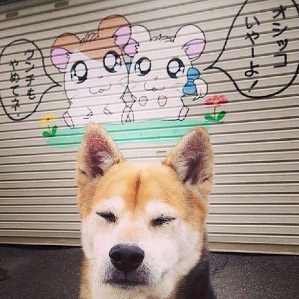 中超俱乐部注重青训与国际接轨，2020中超青训梯队试训公告