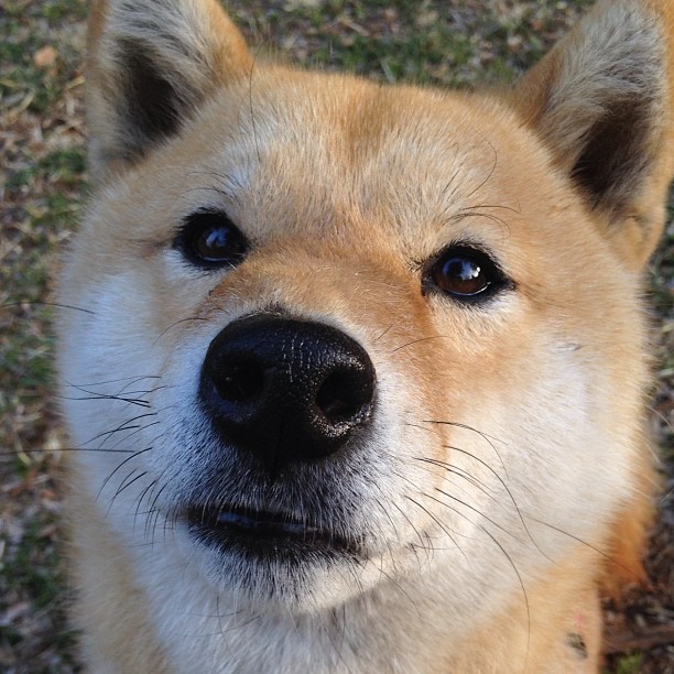 全球球场风云：篮球豪门争霸擂台燃情开赛，球场风云挑战豪门技巧