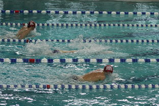 FB体育官方-亚洲游泳冠军赛孙杨携队友力夺接力金，中国游泳冠军孙扬