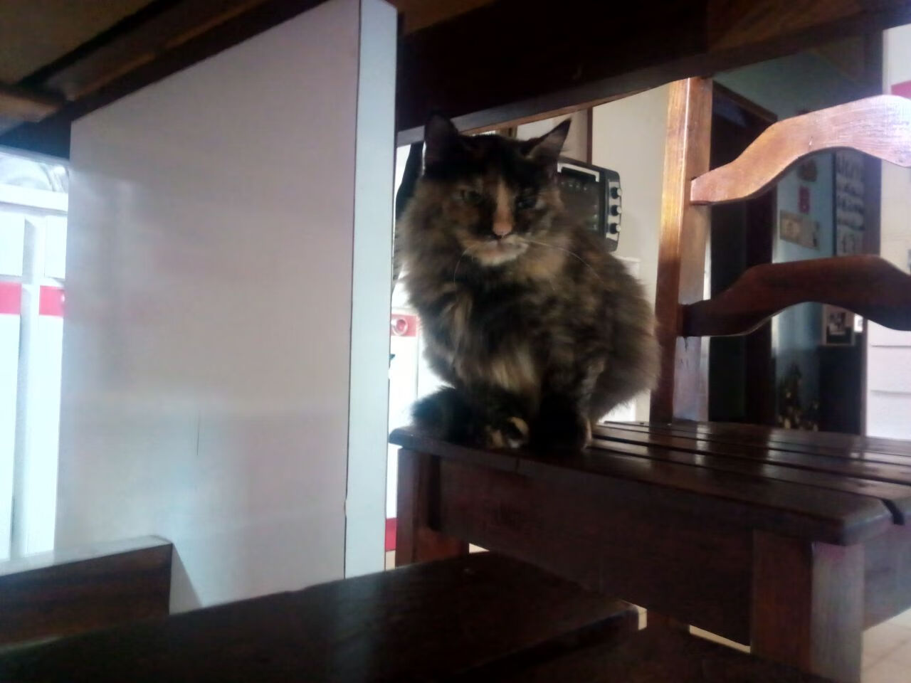 篮球运动员心理健康维护与心理干预体系建设,篮球运动员心理素质的重要性