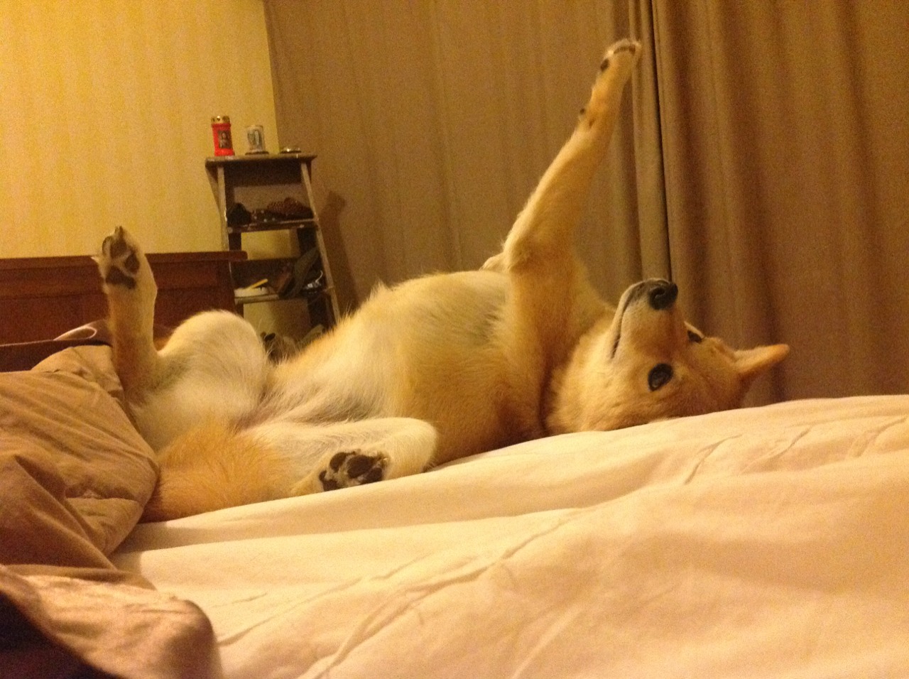 “东安湖体育公园：铁人三项运动员展现决不妥协的毅力”