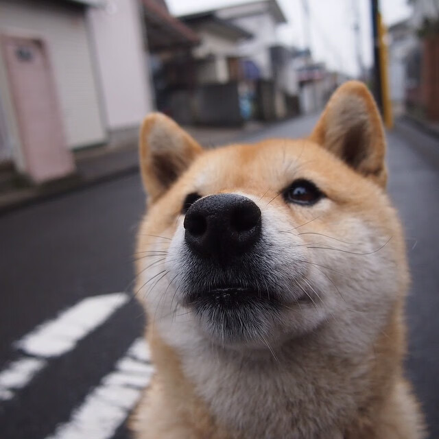 fb体育平台安全-中立B选手与国际强手差距逐渐缩小，中立场比赛