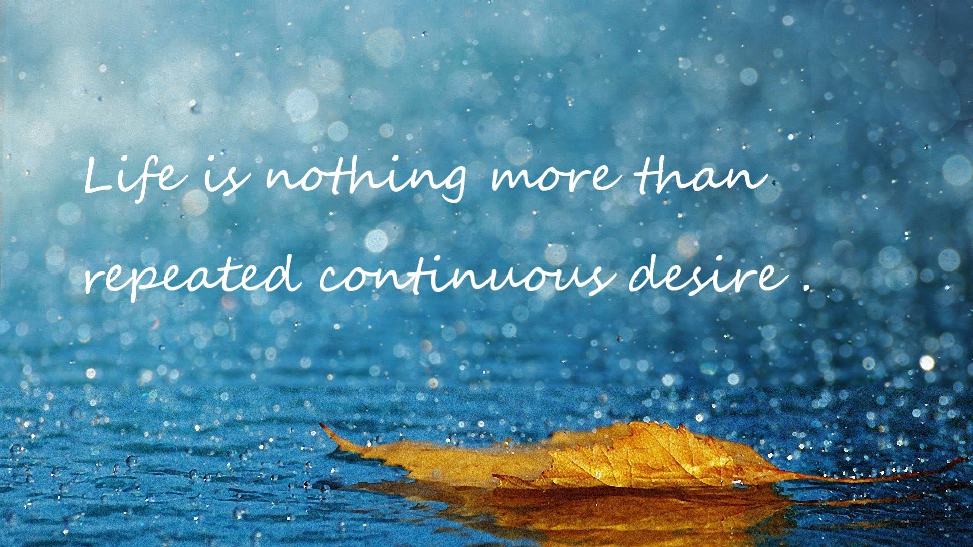 FB体育入口-体育新闻中心上线多语言体育内容分发系统，体育新闻怎么说