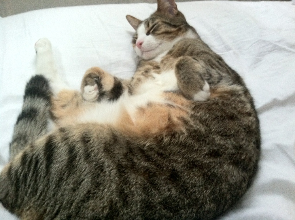 俱乐部青训投入与回报不成正比，普通青训俱乐部方向